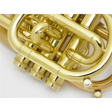 CAROL BRASS キャロルブラス / N7000 SATIN-BELL GB (Dizzy