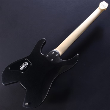 Schecter エレキギターＮVモデル (MADE IN JAPAN) Schecter NV Model Electric Guitar MADE IN JAPAN From JAPAN
