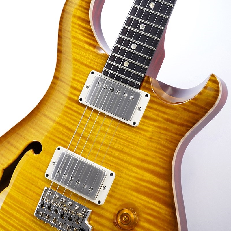 P.R.S. DGT Semi-Hollow Limited Edition (McCarty Sunburst) SN.0390963 画像3