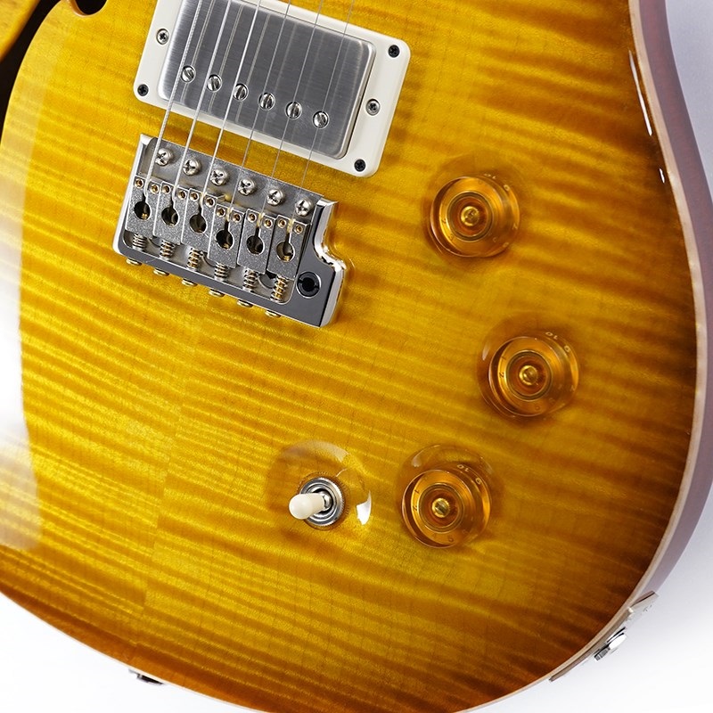 P.R.S. DGT Semi-Hollow Limited Edition (McCarty Sunburst) SN.0390963 画像4