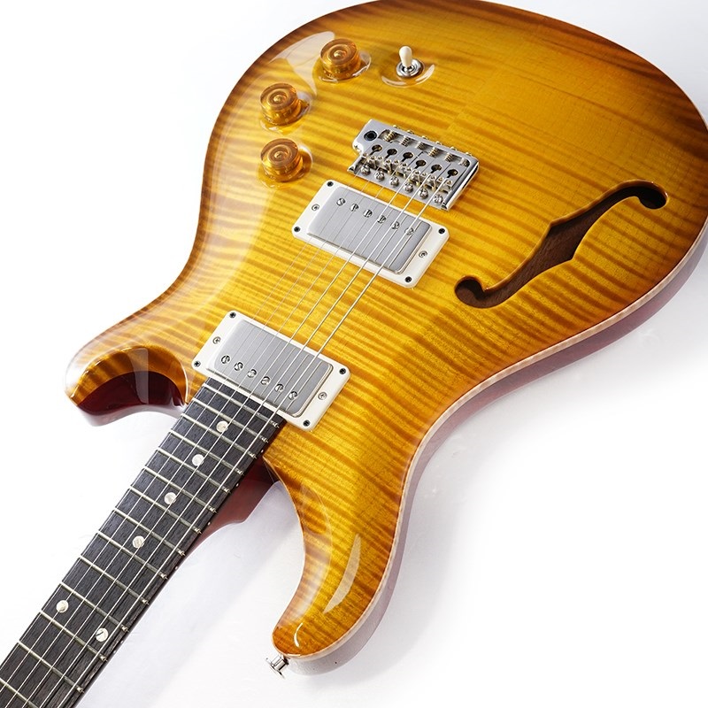 P.R.S. DGT Semi-Hollow Limited Edition (McCarty Sunburst) SN.0390963 画像5