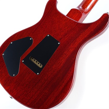 P.R.S. DGT Semi-Hollow Limited Edition (McCarty Sunburst) SN.0390963 画像7