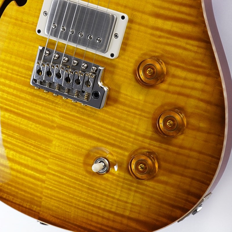 P.R.S. DGT Semi-Hollow Limited Edition (McCarty Sunburst) SN