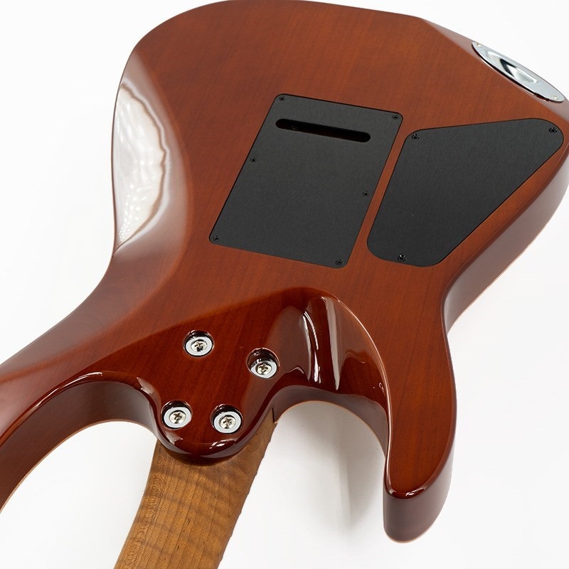 Cocco 20th Special Live プレート Cocco、ファンから受け取った愛を