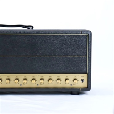 FRIEDMAN BE-100 DELUXE HEAD 【Gold Panel 仕様】（フリードマン） 画像5