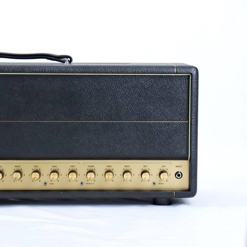 FRIEDMAN BE-100 DELUXE HEAD 【Gold Panel 仕様】（フリードマン） 画像5