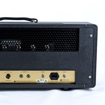 FRIEDMAN BE-100 DELUXE HEAD 【Gold Panel 仕様】（フリードマン） 画像7