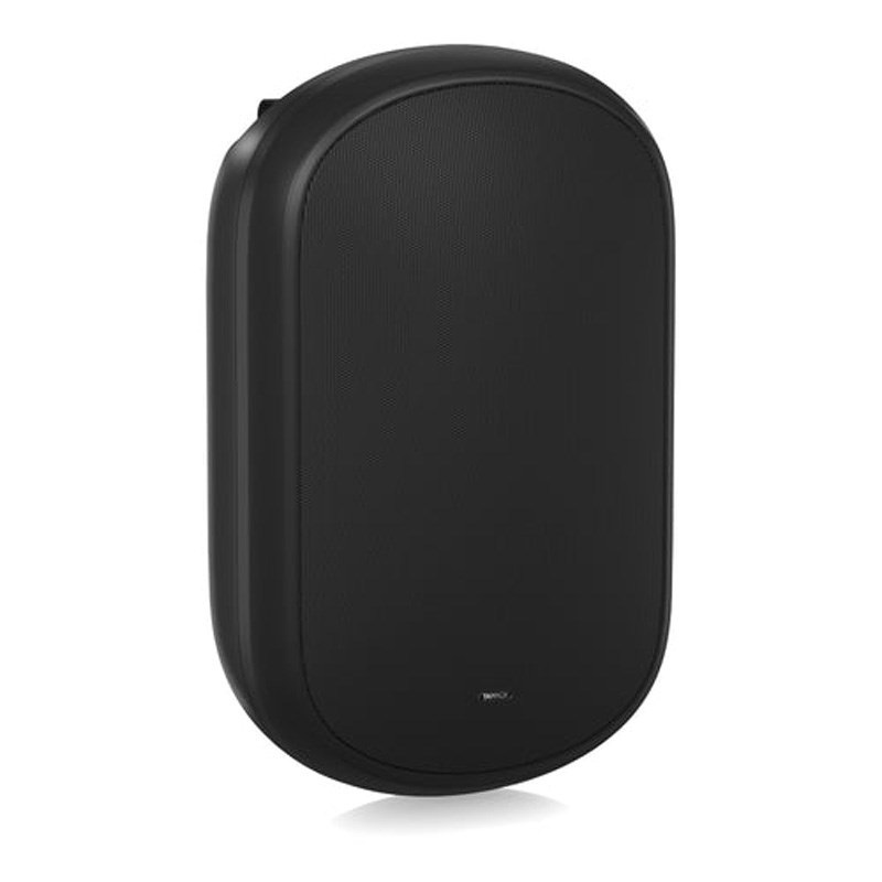 TANNOY DVS 801 BLACK 【1ペア】【お取り寄せ商品 / 納期は別途