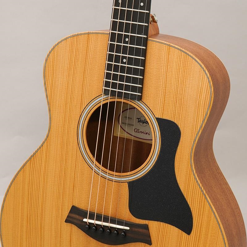 TAYLOR GS Mini Sapele ｜イケベ楽器店オンラインストア