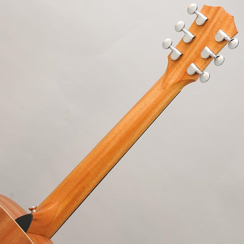 TAYLOR GS Mini Sapele ｜イケベ楽器店オンラインストア
