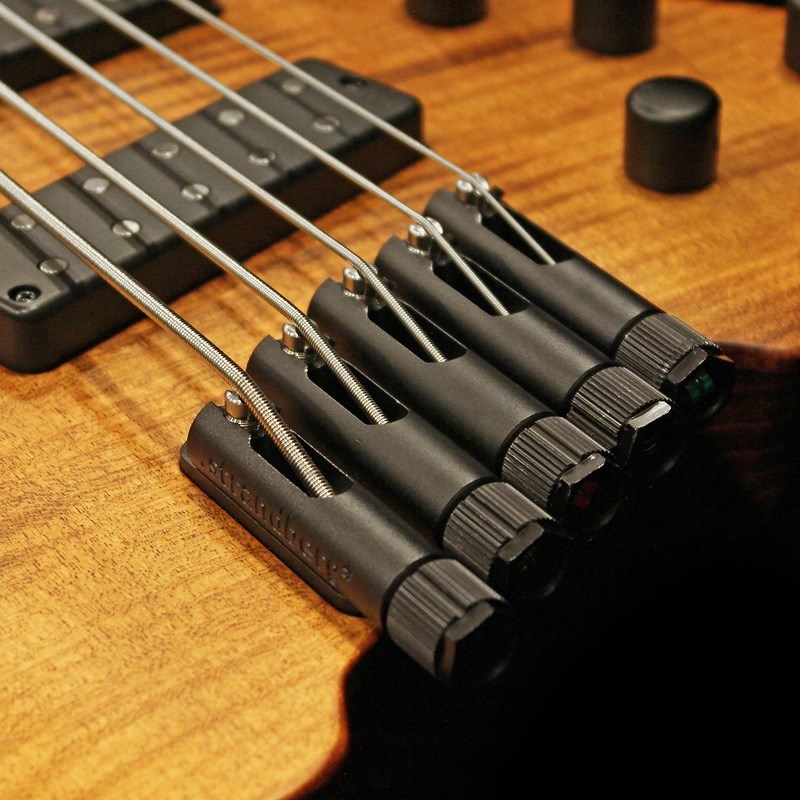 Strandberg Boden Bass Prog 5 Brown ｜イケベ楽器店オンライン