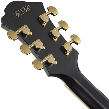 Ibanez ARTSTAR PM3C-BKL (Black Low Gloss) [Pat Metheny Model] [SPOT MODEL] 画像5
