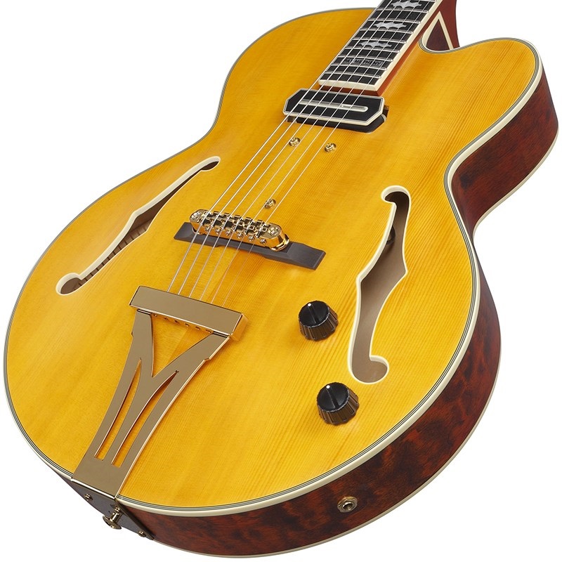 Ibanez ARTSTAR PM3C-NAL (Natural Amber Low Gloss) [Pat Metheny Model] [SPOT MODEL] 画像2