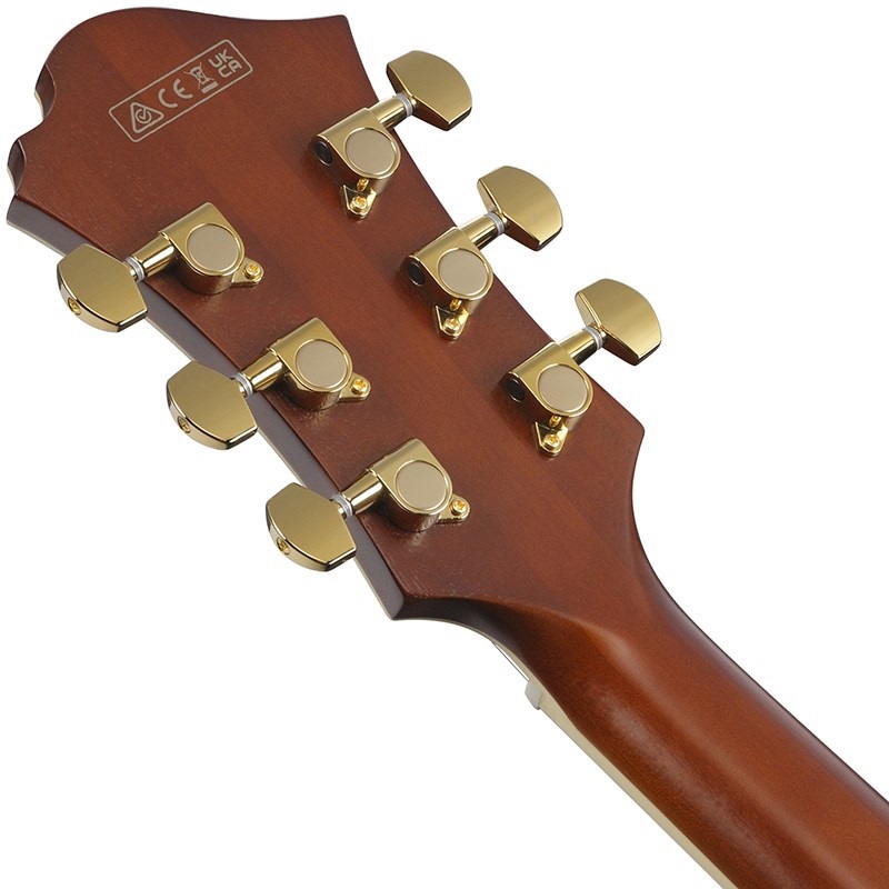 Ibanez ARTSTAR PM3C-NAL (Natural Amber Low Gloss) [Pat Metheny Model] [SPOT MODEL] 画像5