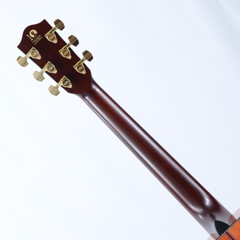 Headway HF-SHIKIZAKURA'24 SF，S/STD ヘッドウェイ ｜イケベ