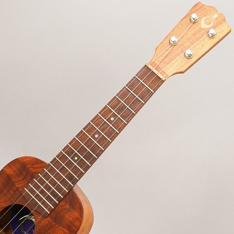 「#期間限定」のおすすめ人気ランキング G-String 【USED】 ｜イケベ楽器店 ジーストリング Koa Soprano 弦楽器