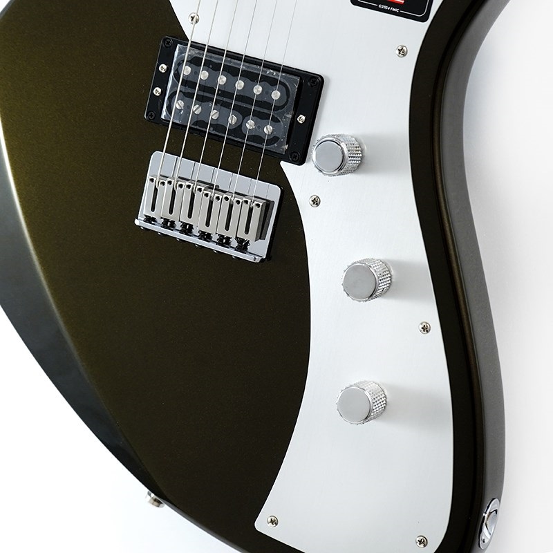 Fender USA American Ultra II Meteora (Texas Tea/Ebony) ｜イケベ