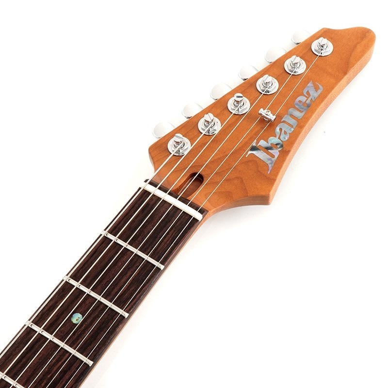 Ibanez ベース Ibanez 2025 bass guitar line-up : r/BassGuitar