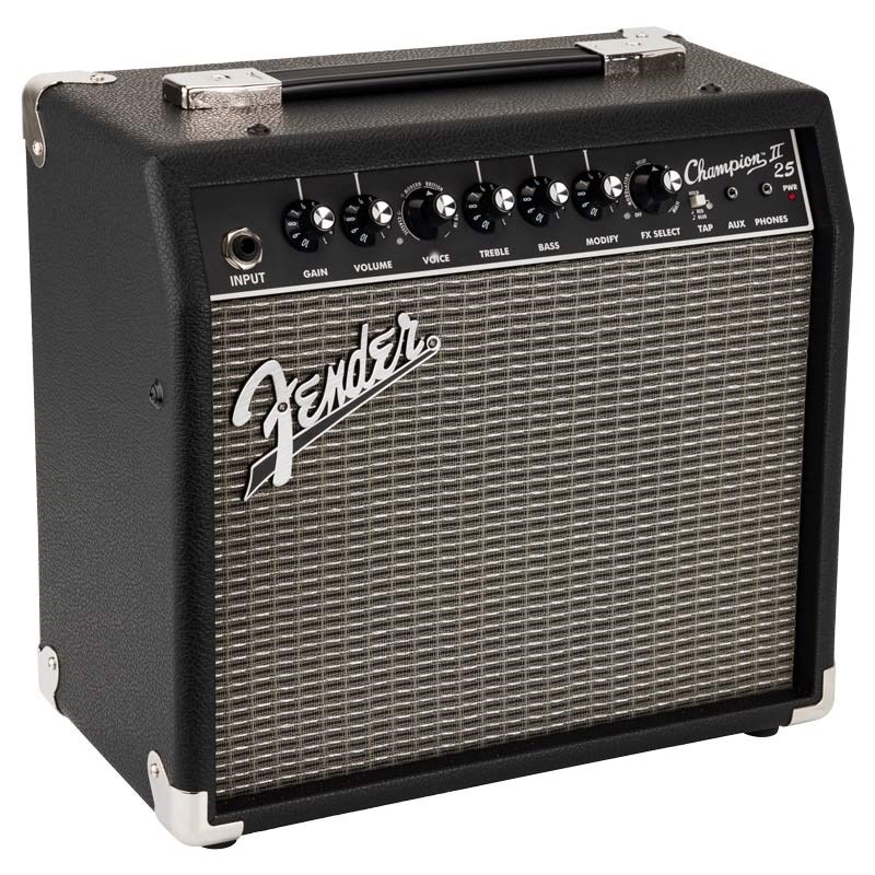 Fender USA Champion II 25 画像2