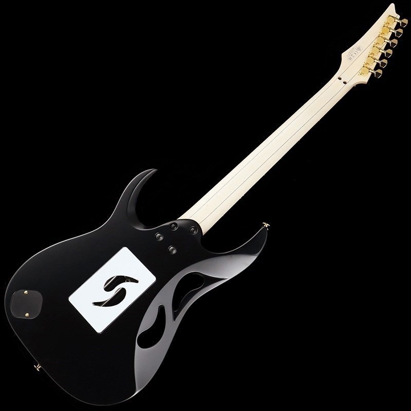 Ibanez PIA3761-XB [Paradise in Art Steve Vai new signature Ibanez PIA3761-XB [Paradise in Art Steve Vai new signature