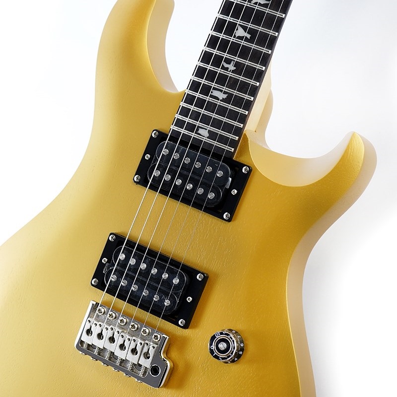 P.R.S. SE CE 24 Standard Satin (Metallic Gold) |イケベ楽器 P.R.S. SE CE 24 Standard Satin (Metallic Gold) |イケベ楽器
