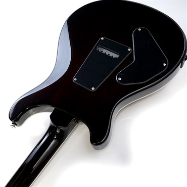 P.R.S. SE Custom 24 Semi-Hollow Piezo (Orange Tiger Smokeburst) 画像6