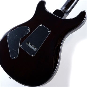 P.R.S. SE Custom 24 Semi-Hollow Piezo (Orange Tiger Smokeburst) 画像7