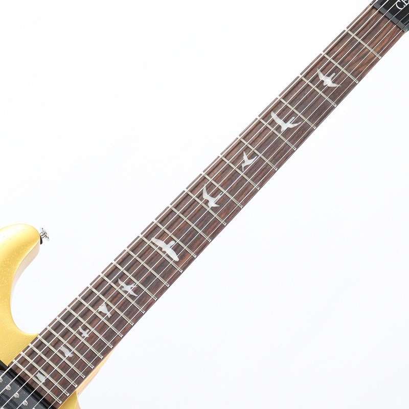P.R.S. SE CE 24 Standard Satin (Metallic Gold) ｜イケベ楽器
