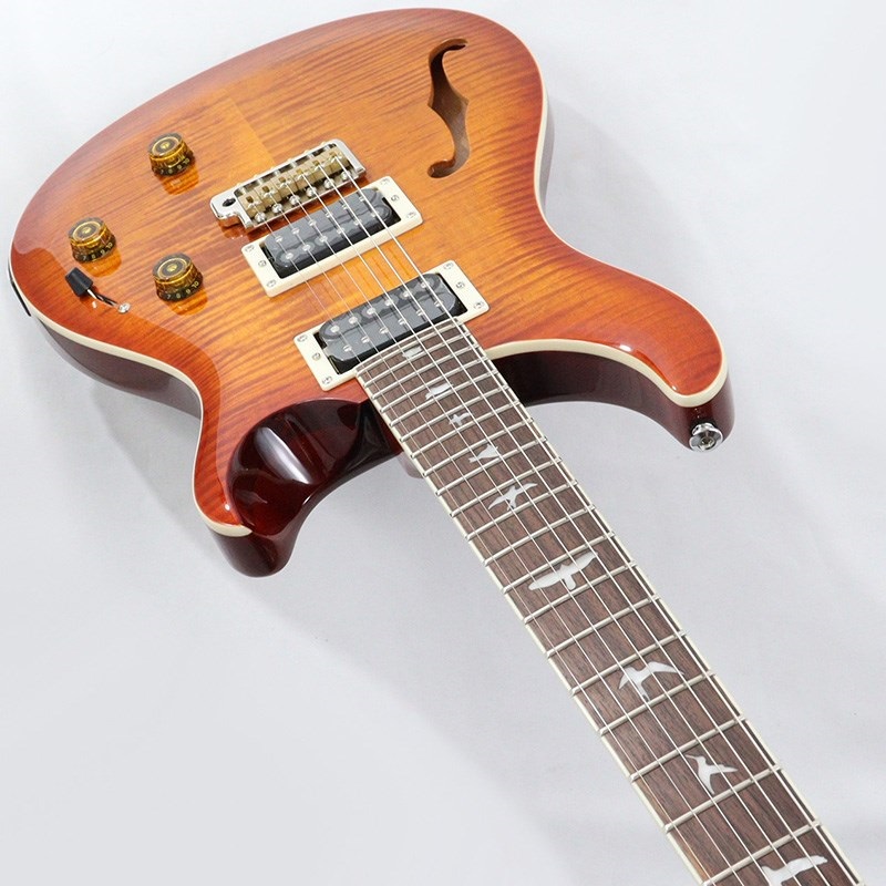 PRS SE （本体のみ） 61GmYmdJEZL._UF350,350_QL80_.jpg