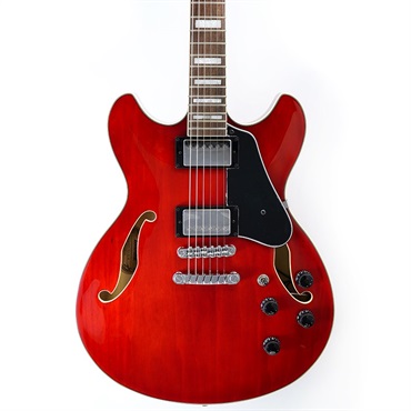 Ibanez AS73-TCD 画像9