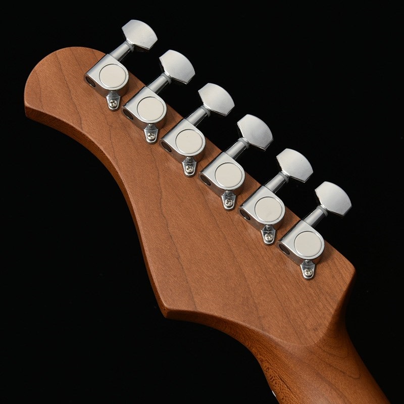 Bacchus Universe Series GS-2DX RSM/M (Misty Dawn Gold) 画像4