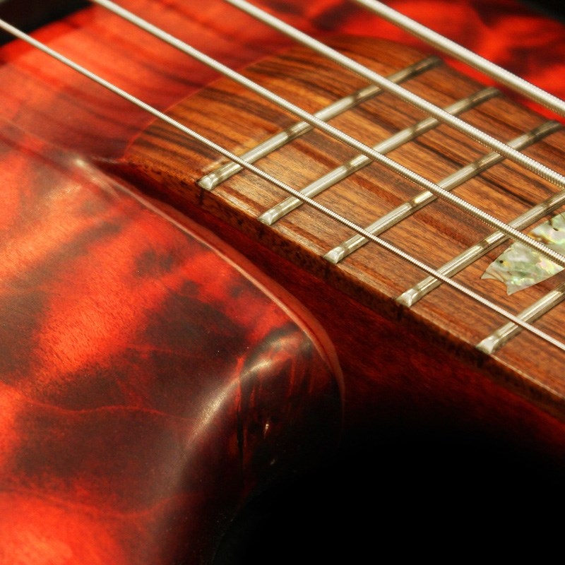 SPECTOR 【USED】 USA NS-2 (Black Cherry Matte Finish) '09