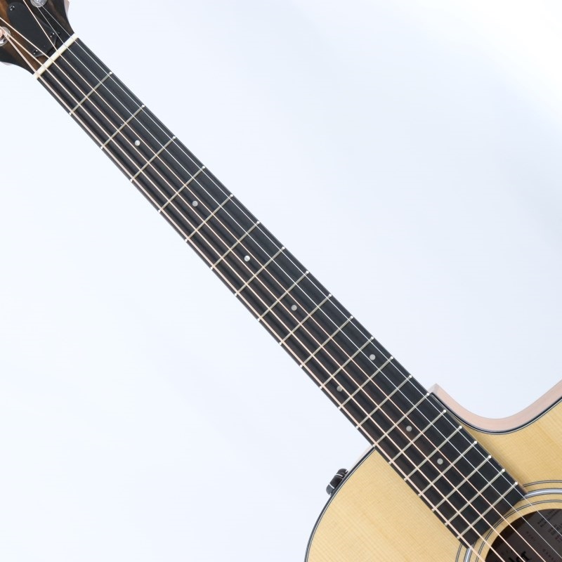 TAYLOR 114ce-S テイラー 画像6