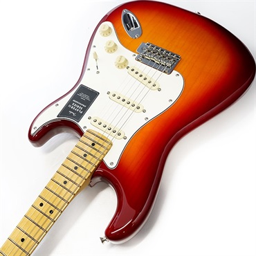 最終お値下げ　Fender MEX ストラトキャスター　⭐︎セット価格 Fender MEX Limited Edition Player Stratocaster Roasted Maple