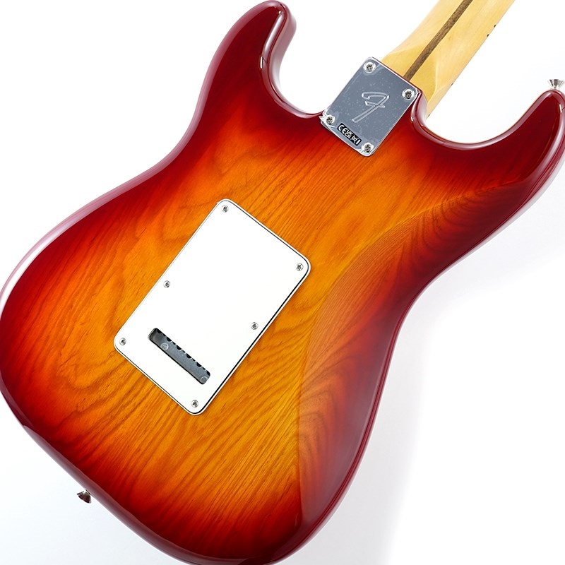 FenderPlayerStratocaster 美品 Fender（フェンダー）から東京スカパラダイスオーケストラの