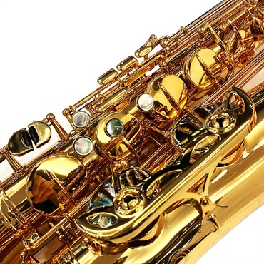 EASTMAN 【創業50周年大決算SALE】テナーサックス イーストマン ETS652GL 【調整&セットアップ後出荷】【5年間キーバランス調整無料】 画像4