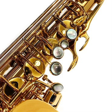 EASTMAN 【創業50周年大決算SALE】アルトサックス イーストマン EAS652GL 【調整&セットアップ後出荷】【5年間キーバランス調整無料】 画像2