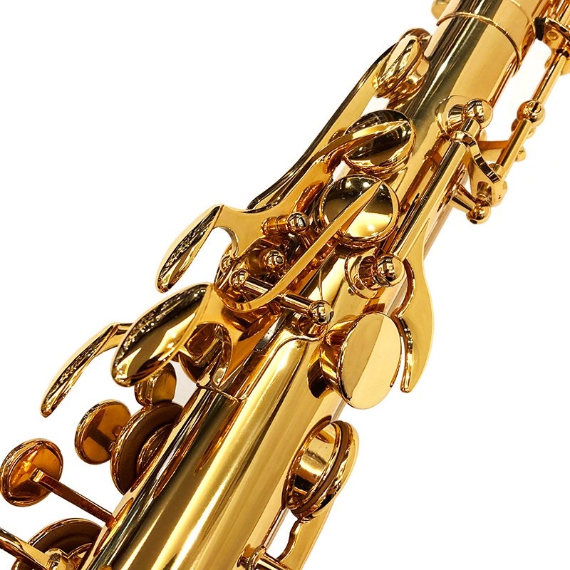 EASTMAN 【創業50周年大決算SALE】アルトサックス イーストマン EAS652GL 【調整&セットアップ後出荷】【5年間キーバランス調整無料】 画像3