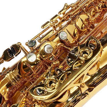 EASTMAN 【創業50周年大決算SALE】アルトサックス イーストマン EAS652GL 【調整&セットアップ後出荷】【5年間キーバランス調整無料】 画像4