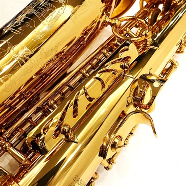 EASTMAN 【創業50周年大決算SALE】アルトサックス イーストマン EAS652GL 【調整&セットアップ後出荷】【5年間キーバランス調整無料】 画像5