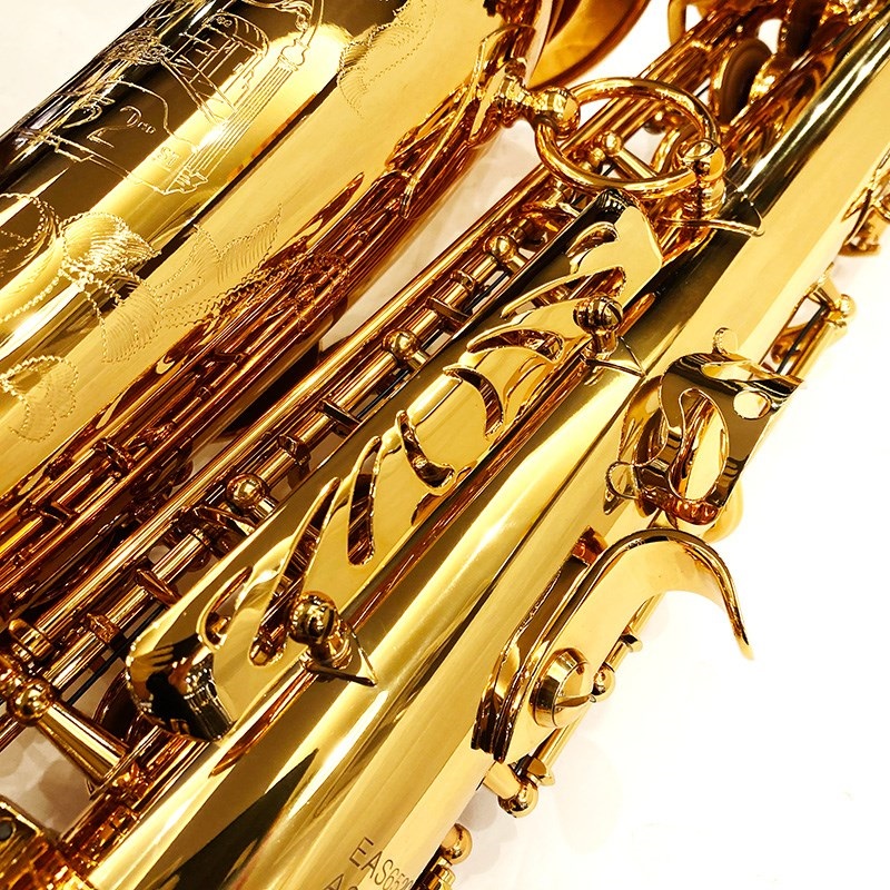 EASTMAN 【創業50周年大決算SALE】アルトサックス イーストマン EAS652GL 【調整&セットアップ後出荷】【5年間キーバランス調整無料】 画像5