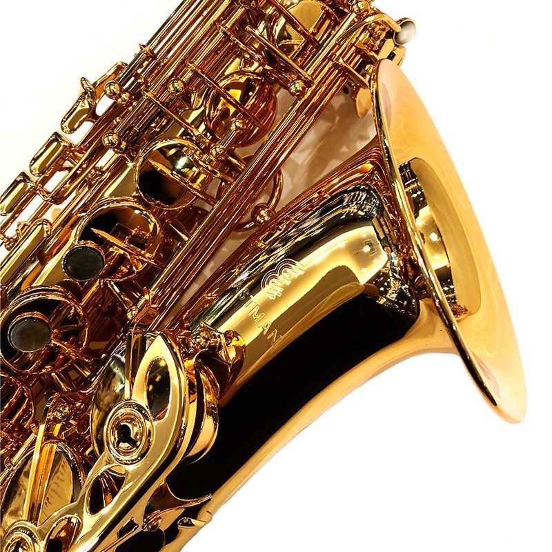 EASTMAN アルトサックス イーストマン EAS652GL 【調整 EASTMAN アルトサックス イーストマン EAS652GL 【調整