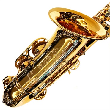 EASTMAN 【創業50周年大決算SALE】アルトサックス イーストマン EAS652GL 【調整&セットアップ後出荷】【5年間キーバランス調整無料】 画像8