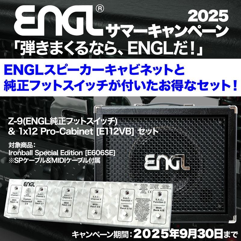 【アガベン】アイアンキャビネット　オーダー品 1点物 アイアン キャビネットシェルフ オールハンドメイド品