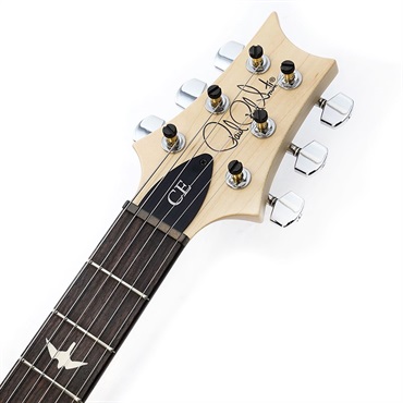 P.R.S. CE 24-08 Swamp Ash Satin Limited Edition (Pearl White) SN.0399480 画像8