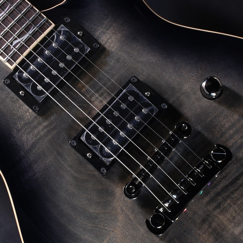 FUJIGEN EXPERT ELAN EEL-FM (Transparent Black Sunburst