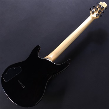 FUJIGEN EXPERT ELAN EEL-FM (Transparent Black Sunburst FUJIGEN EXPERT ELAN EEL-FM (Transparent Black Sunburst