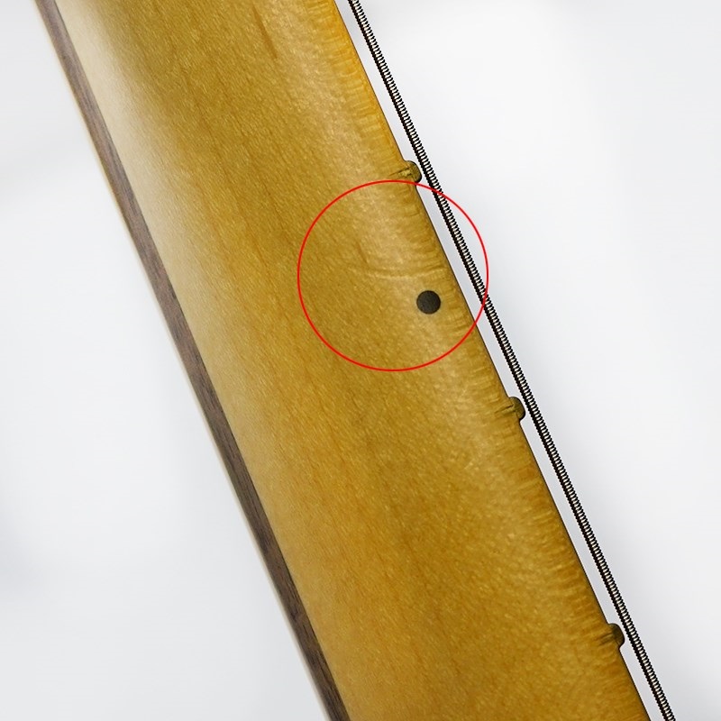Fender USA American Professional II Telecaster (Butterscotch Blonde/Maple)[特価] 画像9
