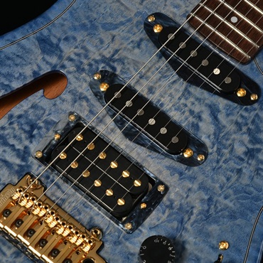 🪲Burny Hide MG Amoeba🪲B.C.Rich HIDEアメーバ Fernandes 120x