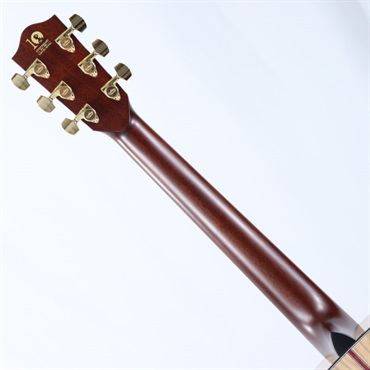 Headway 【値下げ！！】【創業50周年大決算SALE】HD-FUYUZAKURA'24 SF，S/STD SFGR 【Deviser One Day Guitar Show 2024選定品】 ヘッドウェイ 画像7